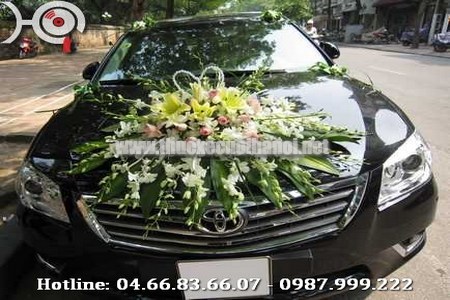 Cho thuê xe cưới Camry tại hà nội