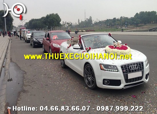 Cho thuê xe cưới Audi S5 Mui Trần tại hà nội