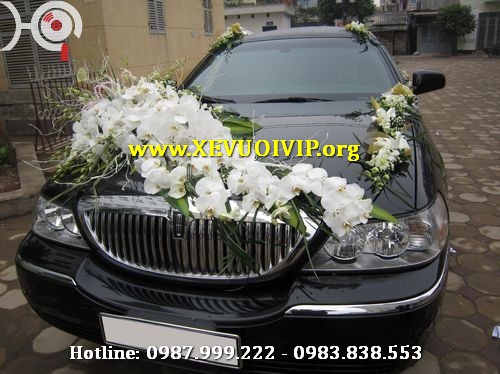 Cho Thuê Xe Cưới Limousine tại hà nội